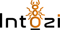 Intozi